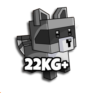 GIANT Raccoon