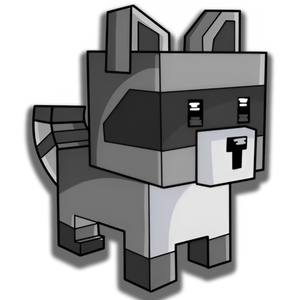 Racoon